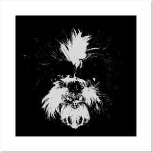 Shih Tzu! Posters and Art